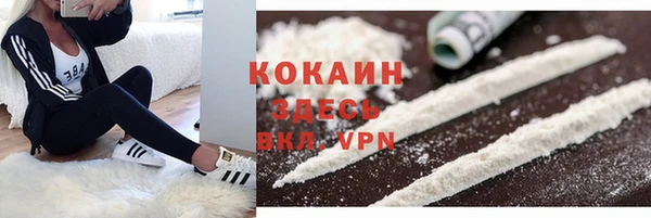 ешки Каменка