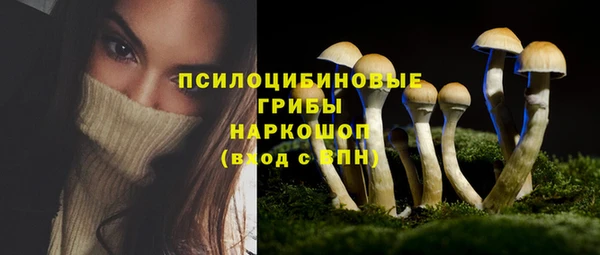 спиды Каменногорск