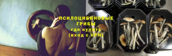 ешки Каменка