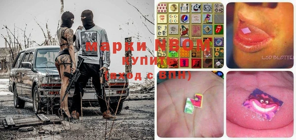 СК Инта