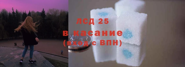 спиды Каменногорск