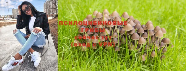 ешки Каменка
