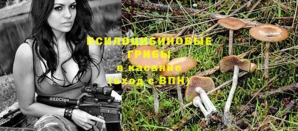 ешки Каменка
