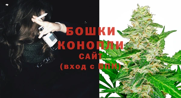мяу мяу мука Иннополис