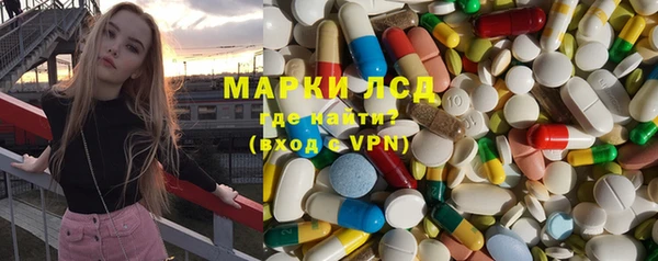 мяу мяу мука Иннополис