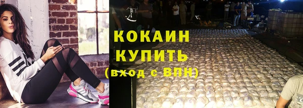 спиды Каменногорск