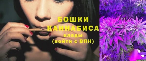 СК Инта