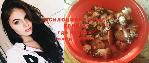 спиды Каменногорск